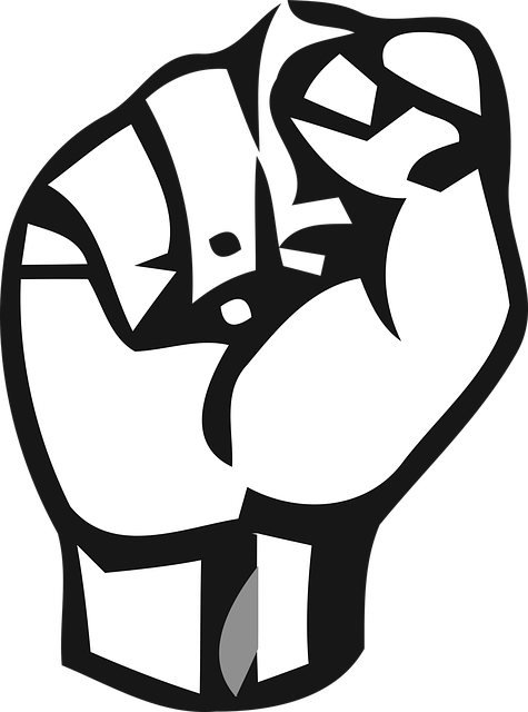 The "S" sign in American Sign Language